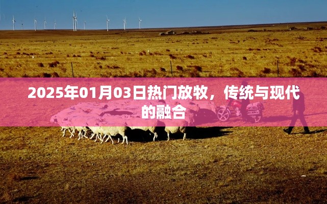 手舞足蹈 第3頁