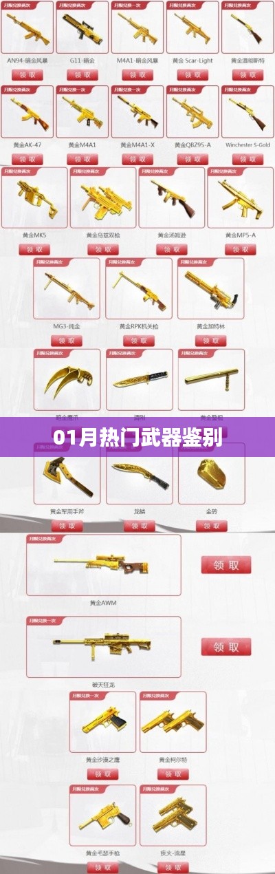 最新熱門(mén)武器鑒別指南