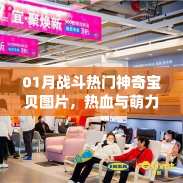 01月戰(zhàn)斗熱門神奇寶貝圖片，熱血萌力集結(jié)