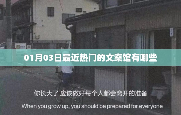 『最新熱門文案館大揭秘，01月03日榜單更新』