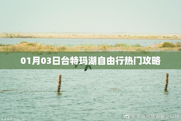 臺特瑪湖自由行指南，熱門攻略一網(wǎng)打盡