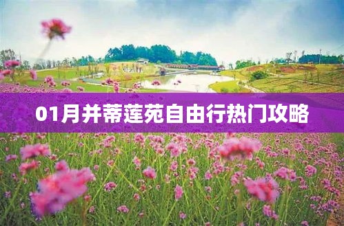 并蒂蓮苑自由行指南，熱門攻略一網(wǎng)打盡！