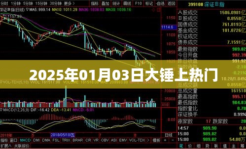 大錘引爆全網(wǎng)熱議，2025年1月3日熱門時刻