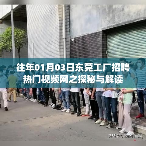 東莞工廠招聘熱門視頻網(wǎng)探秘解讀
