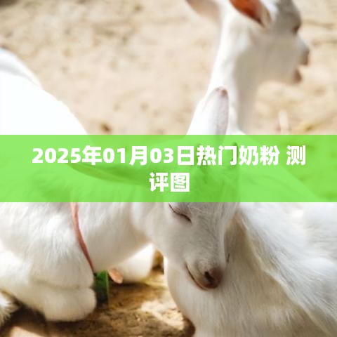 2025年熱門(mén)奶粉測(cè)評(píng)圖全解析