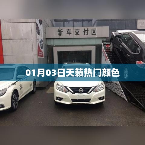 獨(dú)一無(wú)二 第4頁(yè)