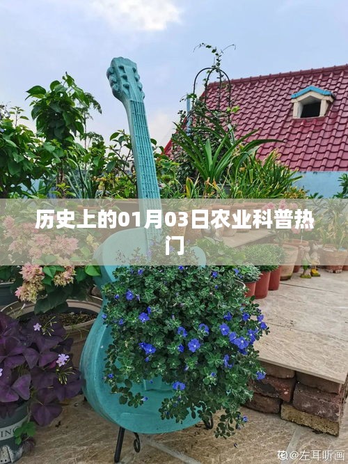 歷史上的今日，一月三日農(nóng)業(yè)科普知識熱點