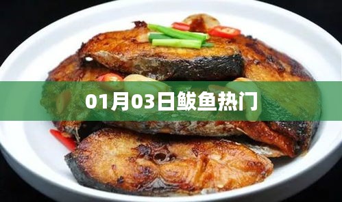 鲅魚熱門事件，最新動態(tài)揭秘