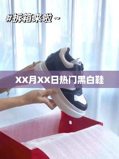 XX月XX日潮流黑白鞋盤(pán)點(diǎn)