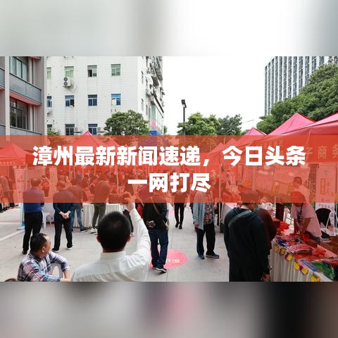 漳州最新新聞速遞，今日頭條一網(wǎng)打盡