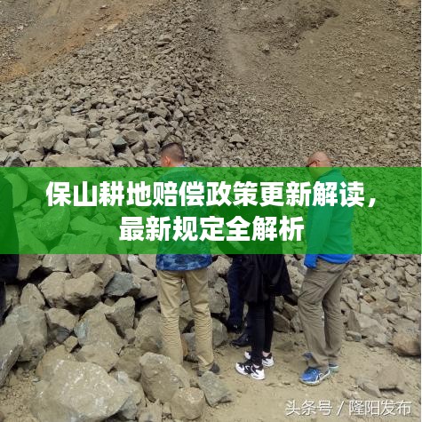 保山耕地賠償政策更新解讀，最新規(guī)定全解析