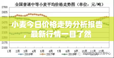 小麥今日價格走勢分析報告，最新行情一目了然