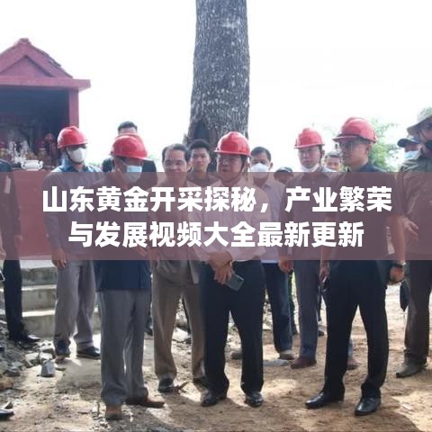山東黃金開采探秘，產業(yè)繁榮與發(fā)展視頻大全最新更新