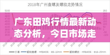 廣東田雞行情最新動態(tài)分析，今日市場走勢揭秘