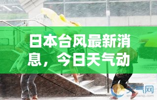 日本臺風最新消息，今日天氣動態(tài)及影響報告