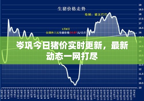 岑鞏今日豬價實時更新，最新動態(tài)一網(wǎng)打盡