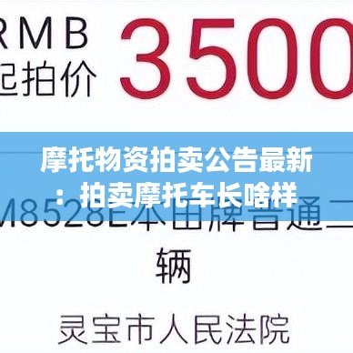 摩托物資拍賣公告最新：拍賣摩托車長(zhǎng)啥樣 