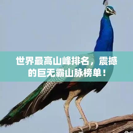世界最高山峰排名，震撼的巨無(wú)霸山脈榜單！