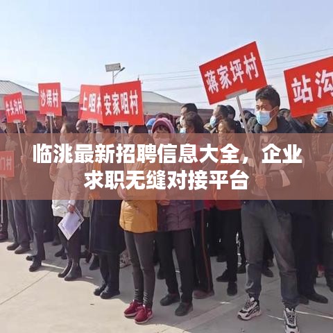 臨洮最新招聘信息大全，企業(yè)求職無(wú)縫對(duì)接平臺(tái)