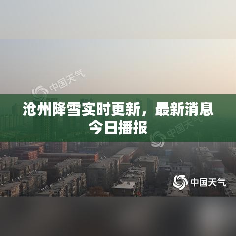 滄州降雪實(shí)時(shí)更新，最新消息今日播報(bào)