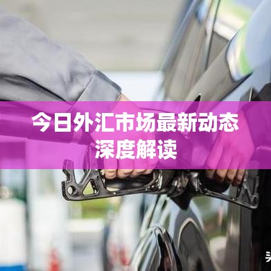 今日外匯市場最新動態(tài)深度解讀