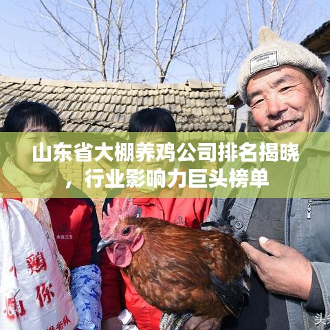 山東省大棚養(yǎng)雞公司排名揭曉，行業(yè)影響力巨頭榜單