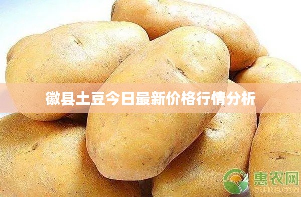 料事如神 第4頁