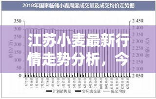 江蘇小麥最新行情走勢(shì)分析，今日市場(chǎng)動(dòng)態(tài)揭秘