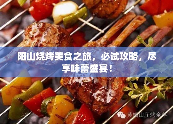 陽(yáng)山燒烤美食之旅，必試攻略，盡享味蕾盛宴！
