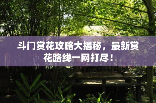 斗門賞花攻略大揭秘，最新賞花路線一網(wǎng)打盡！