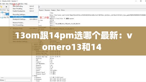 13om跟14pm選哪個最新：vomero13和14 