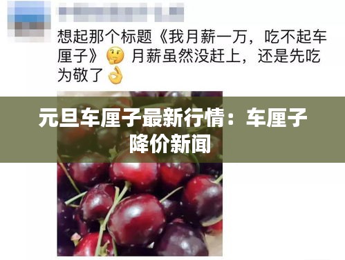 元旦車?yán)遄幼钚滦星椋很嚴(yán)遄咏祪r(jià)新聞 