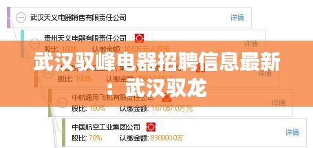 武漢馭峰電器招聘信息最新：武漢馭龍 