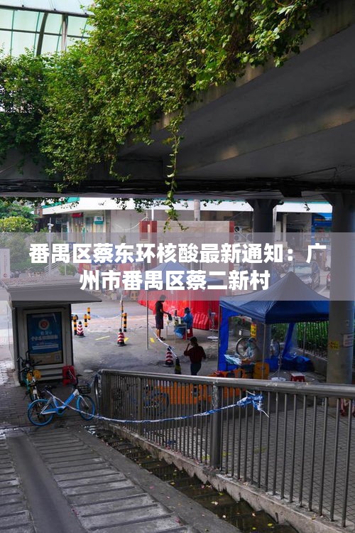 番禺區(qū)蔡?hào)|環(huán)核酸最新通知：廣州市番禺區(qū)蔡二新村 