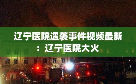 飛箭如蝗 第3頁(yè)