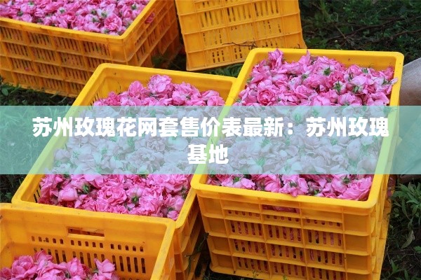 蘇州玫瑰花網(wǎng)套售價(jià)表最新：蘇州玫瑰基地 