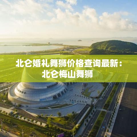 北侖婚禮舞獅價(jià)格查詢最新：北侖梅山舞獅 