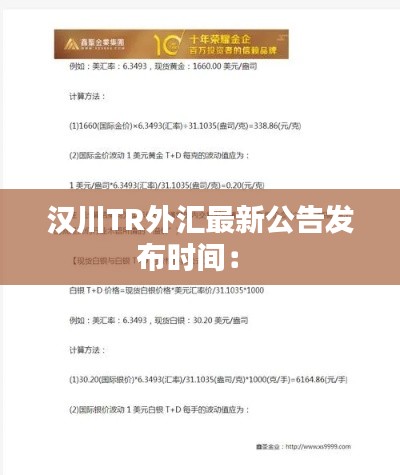 漢川TR外匯最新公告發(fā)布時間： 