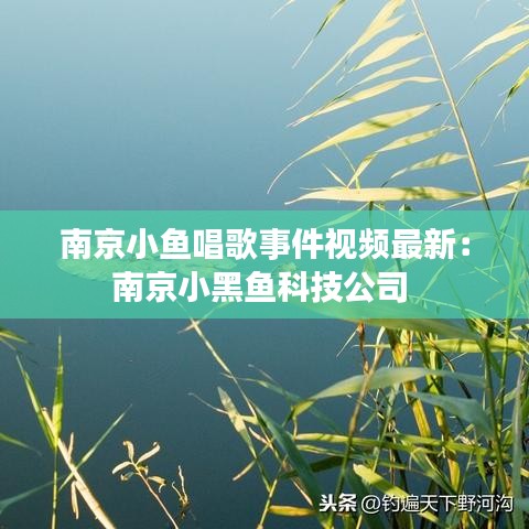 南京小魚唱歌事件視頻最新：南京小黑魚科技公司 
