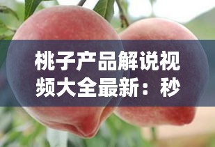 桃子產(chǎn)品解說視頻大全最新：秒懂百科桃子 