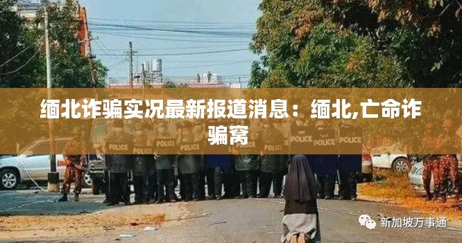 緬北詐騙實況最新報道消息：緬北,亡命詐騙窩 