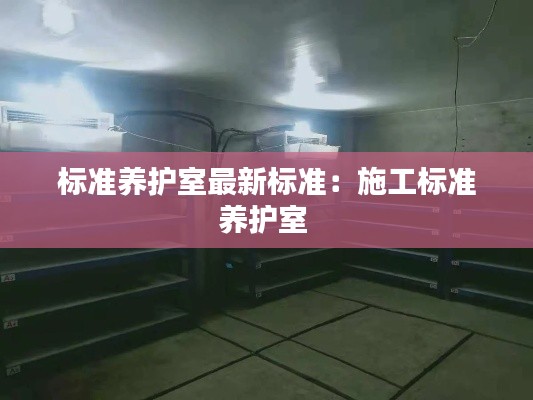 標(biāo)準(zhǔn)養(yǎng)護室最新標(biāo)準(zhǔn)：施工標(biāo)準(zhǔn)養(yǎng)護室 