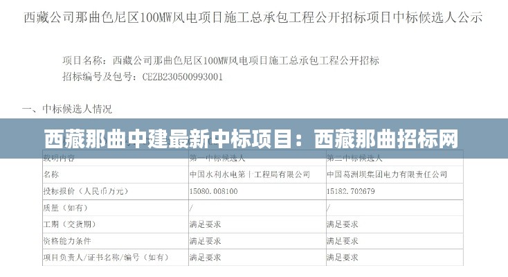 西藏那曲中建最新中標(biāo)項(xiàng)目：西藏那曲招標(biāo)網(wǎng) 
