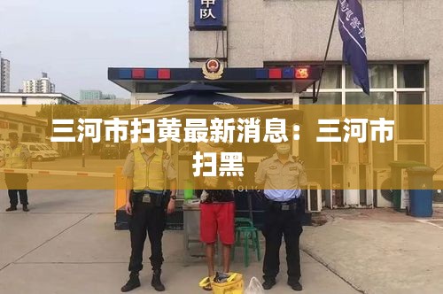 狗尾續(xù)貂 第4頁