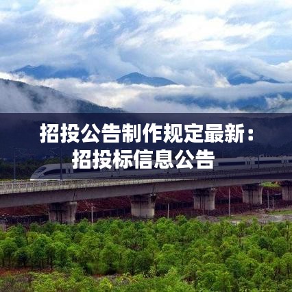 招投公告制作規(guī)定最新：招投標(biāo)信息公告 