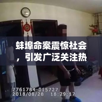 蚌埠命案震驚社會，引發(fā)廣泛關(guān)注熱議