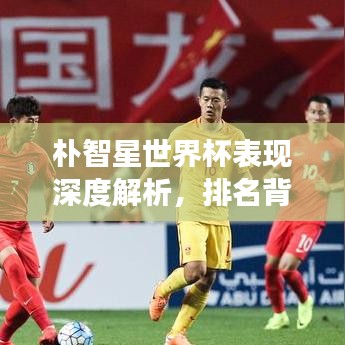 樸智星世界杯表現(xiàn)深度解析，排名背后的故事