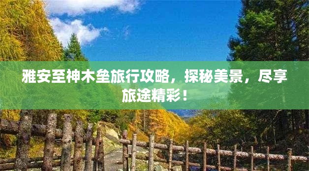 雅安至神木壘旅行攻略，探秘美景，盡享旅途精彩！