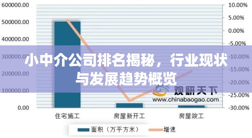 小中介公司排名揭秘，行業(yè)現(xiàn)狀與發(fā)展趨勢概覽