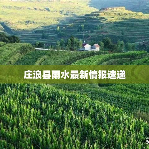 莊浪縣雨水最新情報(bào)速遞